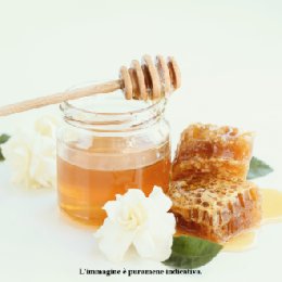 https://www.countryhousepolucci.it/immagini_articoli/159/produttori-indipendenti-di-cave-rm-miele-acacia-1-kg-330.png